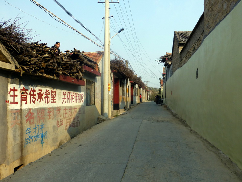 p1130567.jpg