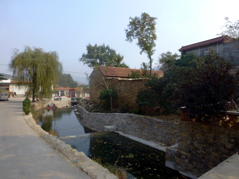 p1130569.jpg