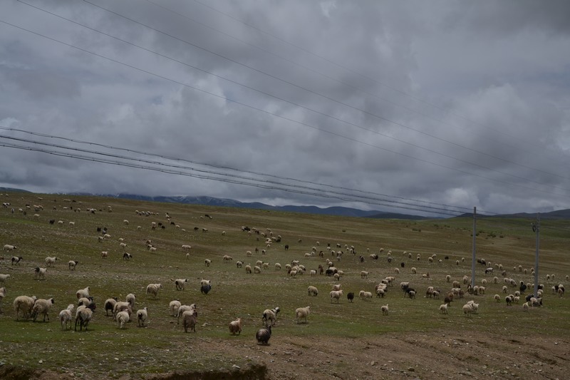 dsc_9074.jpg