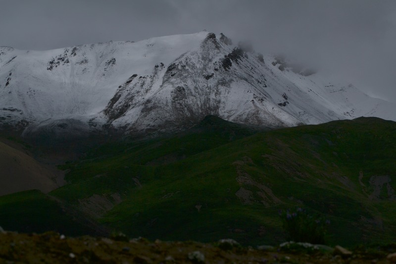 dsc_9083.jpg