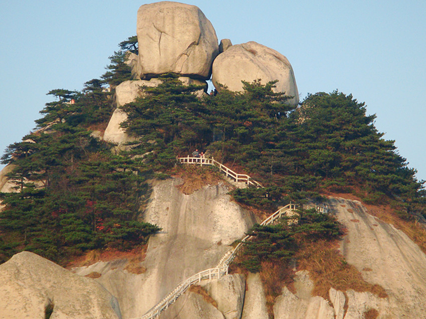 dsc01800_.jpg