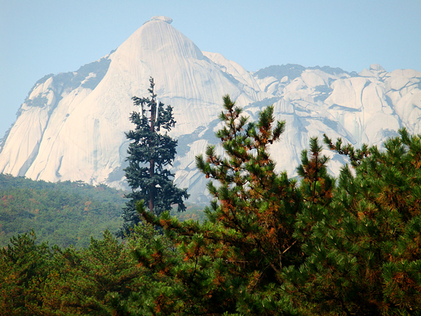 dsc01770_.jpg