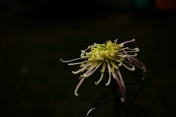 img_5769_.jpg