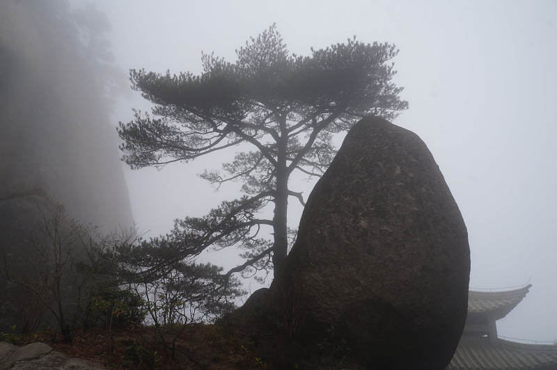 dsc02240.jpg