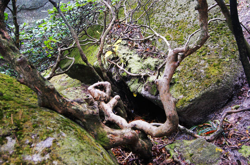 dsc04892.jpg