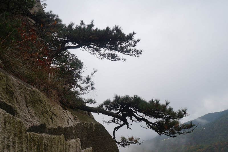 dsc02282.jpg