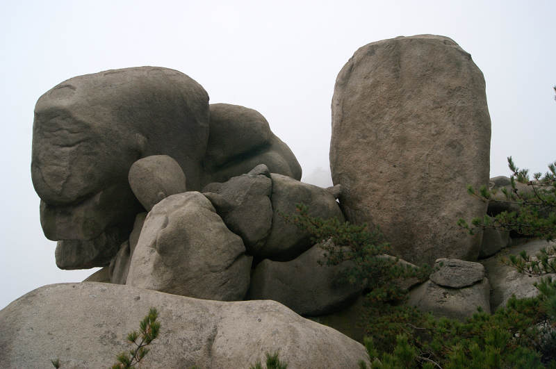 dsc04943.jpg