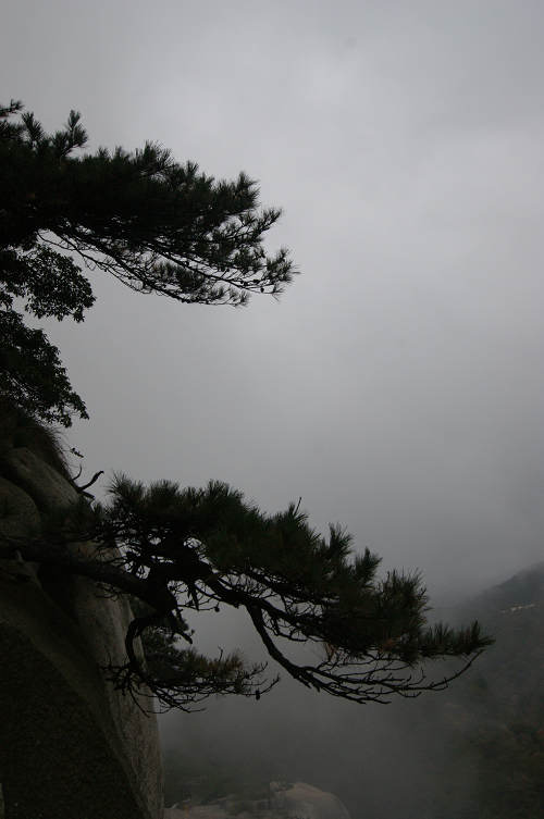 dsc04956.jpg