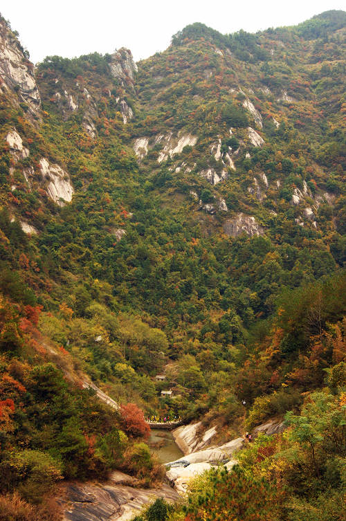 dsc04712.jpg