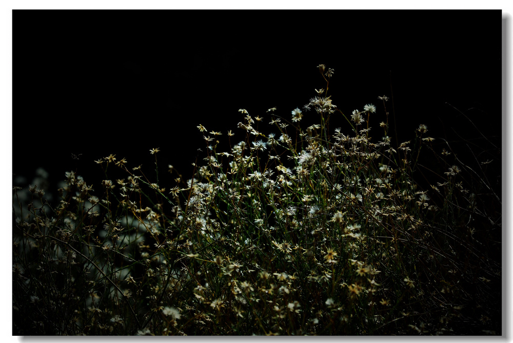 10-19- (17).jpg