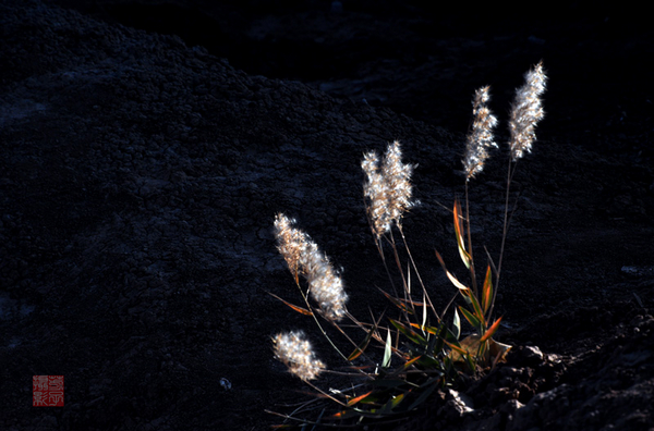 dsc_0574a.jpg