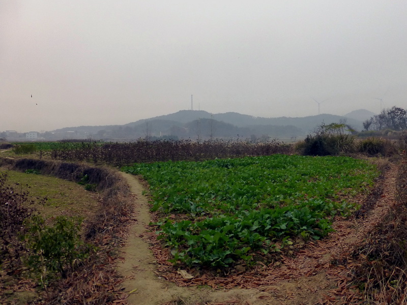 p1150015.jpg