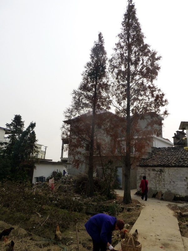 p1150028.jpg
