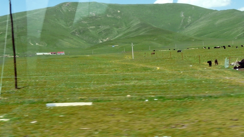 133.jpg