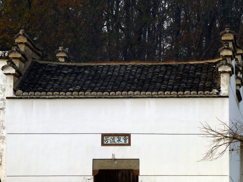 p1150043.jpg