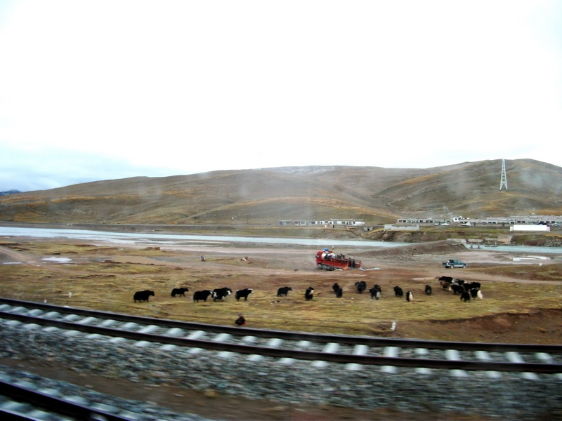 dscf0588.jpg