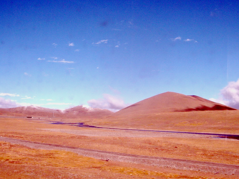 dscf0603.jpg