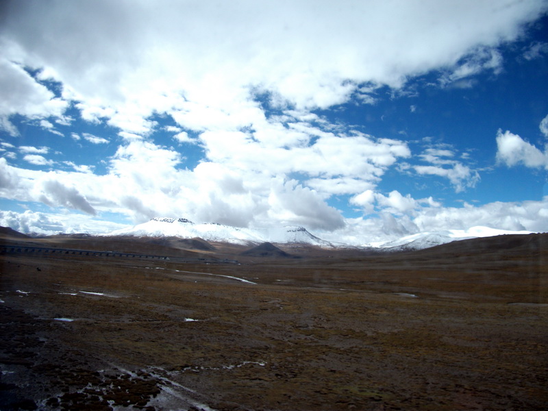 dscf0620.jpg