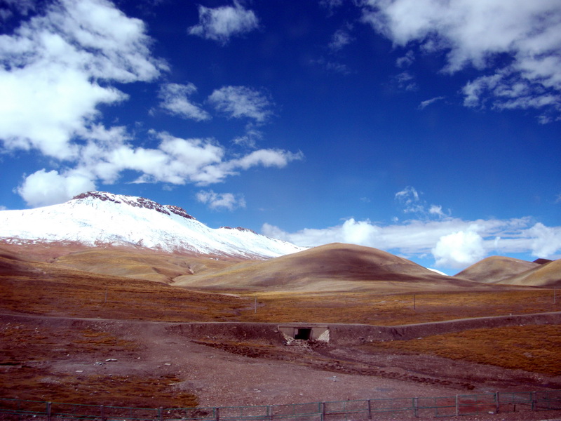 dscf0623.jpg