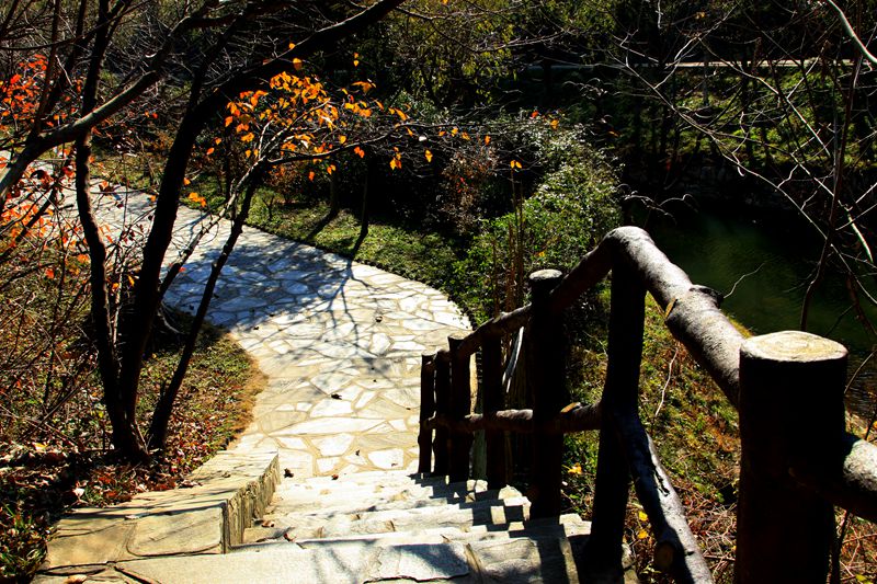 2013.11.29 (16)_.jpg