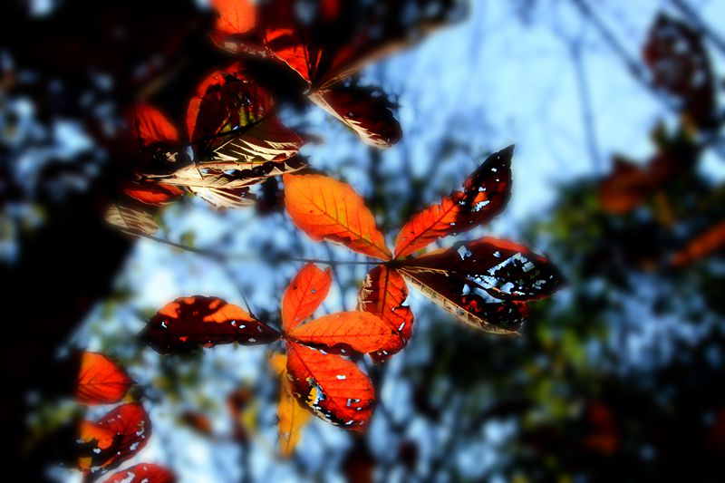 2013.11.29 (29)_.jpg