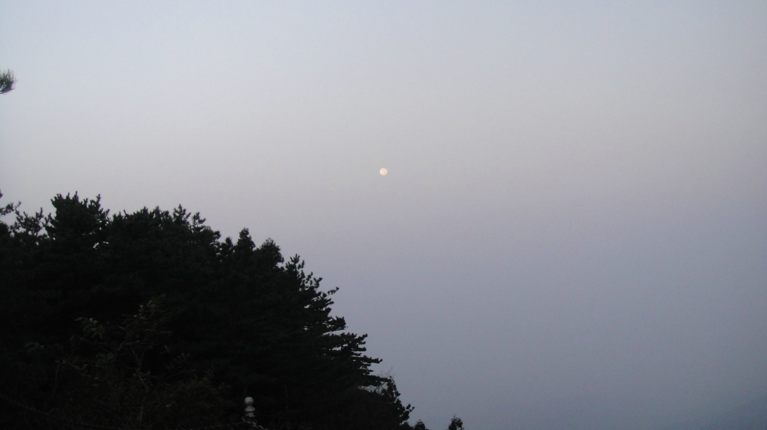 dsc04347.jpg
