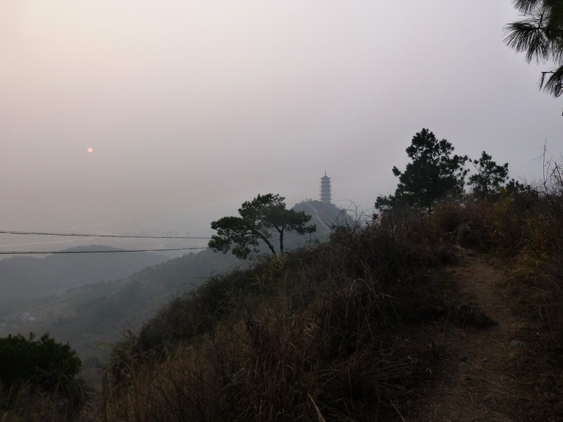 p1150141.jpg