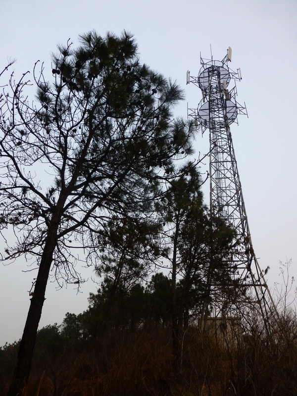 p1150142.jpg