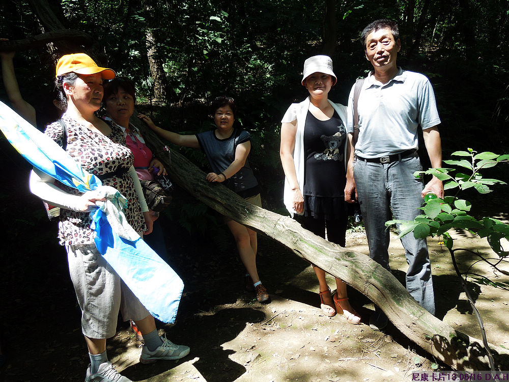 dscn0449.jpg