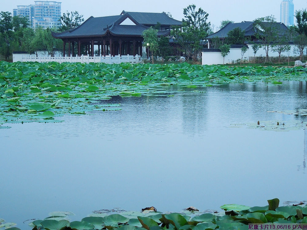 dscn0284.jpg