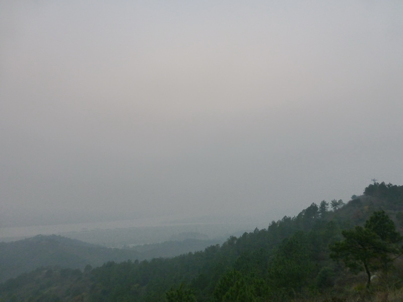 p1150147.jpg