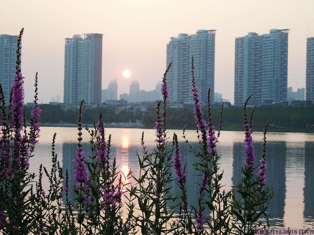 dscn0226.jpg