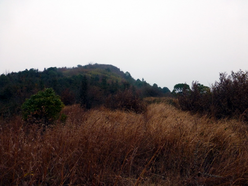 p1150152.jpg