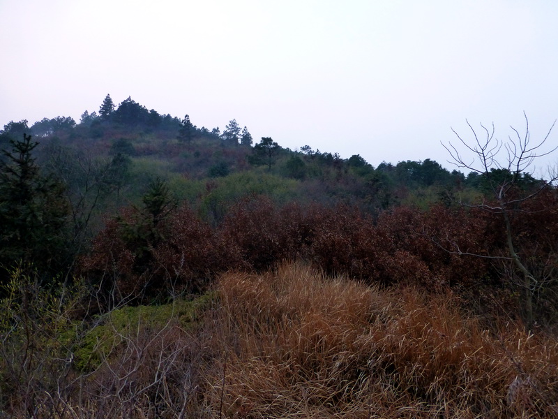 p1150153.jpg