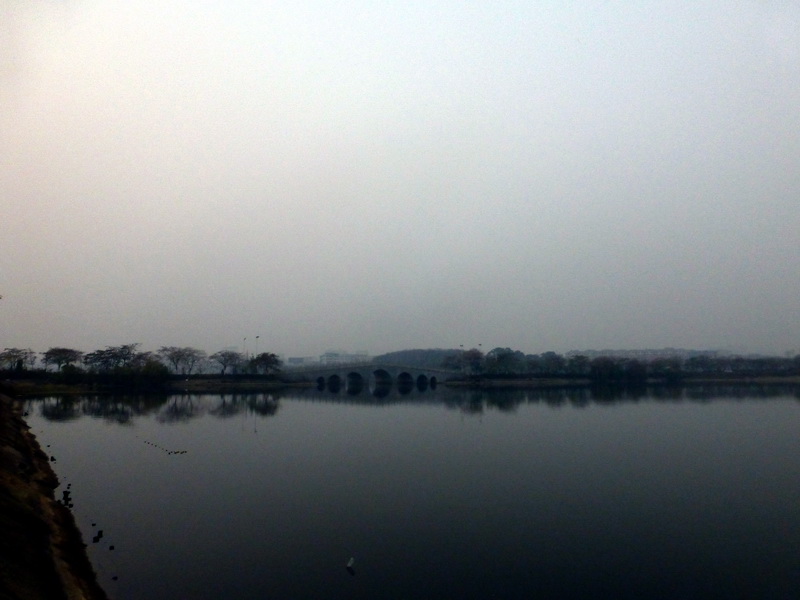 p1150165.jpg