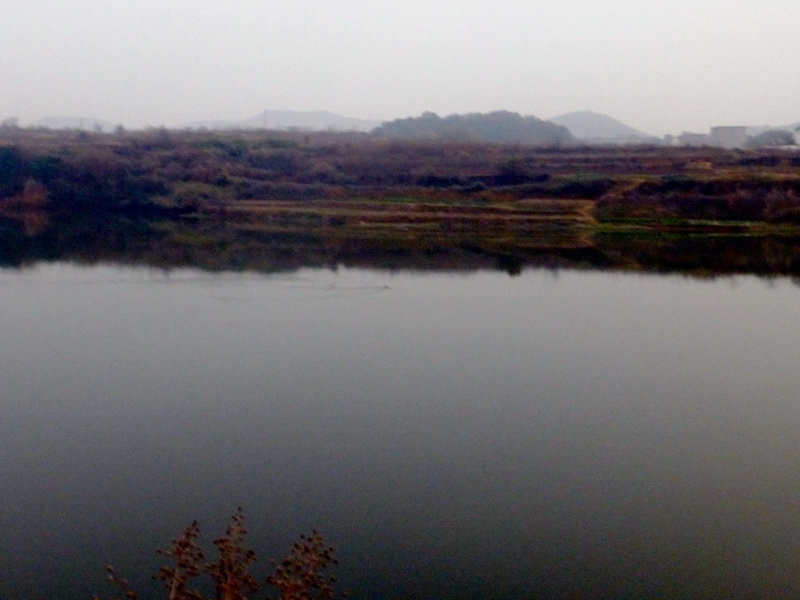 p1150176.jpg