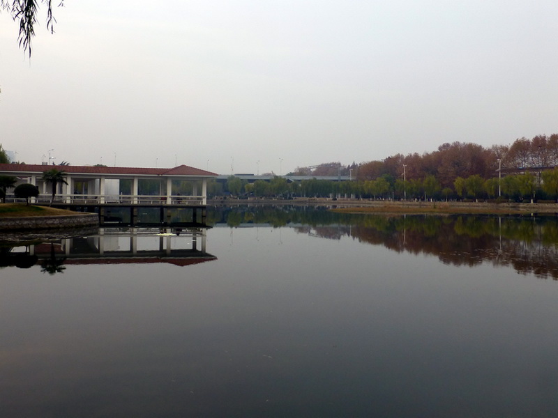 p1150299.jpg