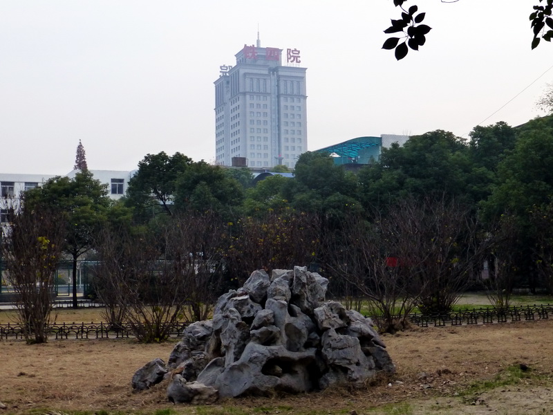 p1150297.jpg