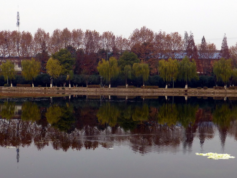 p1150303.jpg