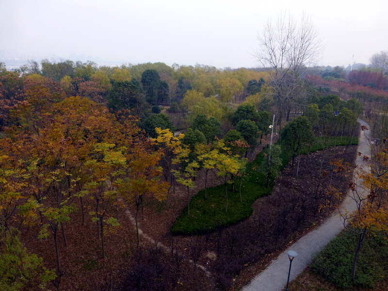 p1150322.jpg
