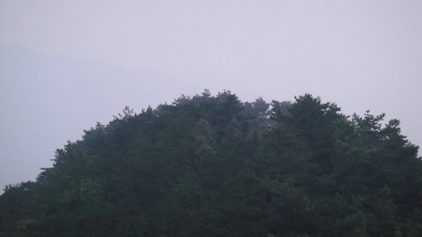 dsc04350.jpg