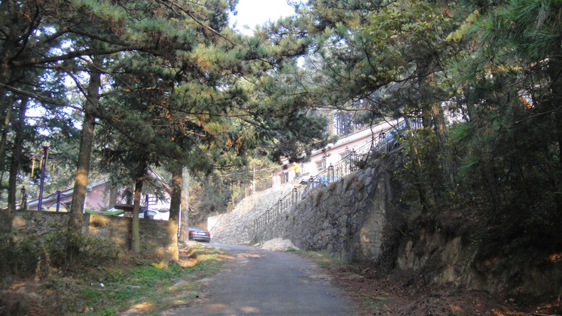 dsc04387.jpg