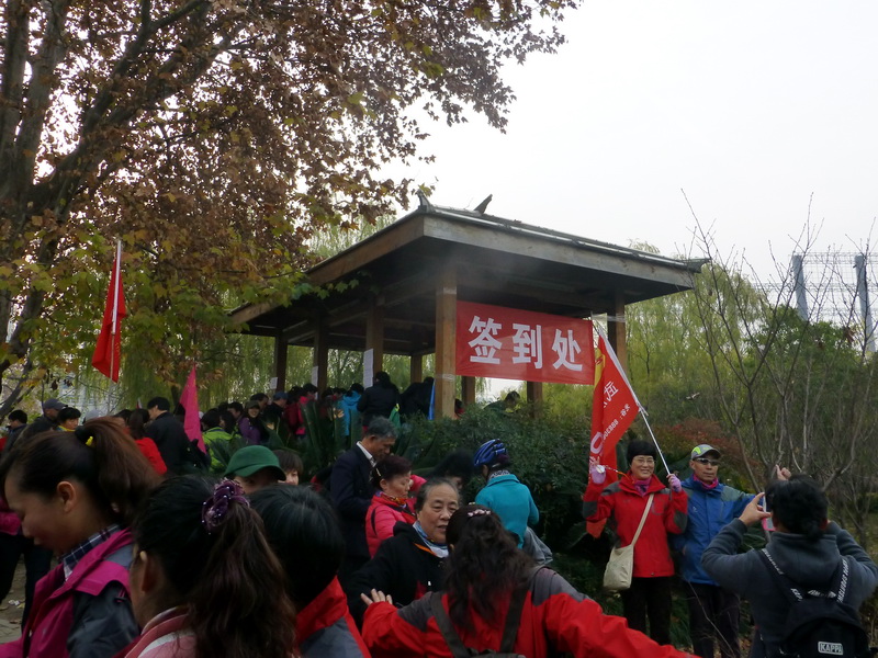p1150369.jpg