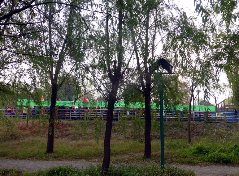 p1150383.jpg