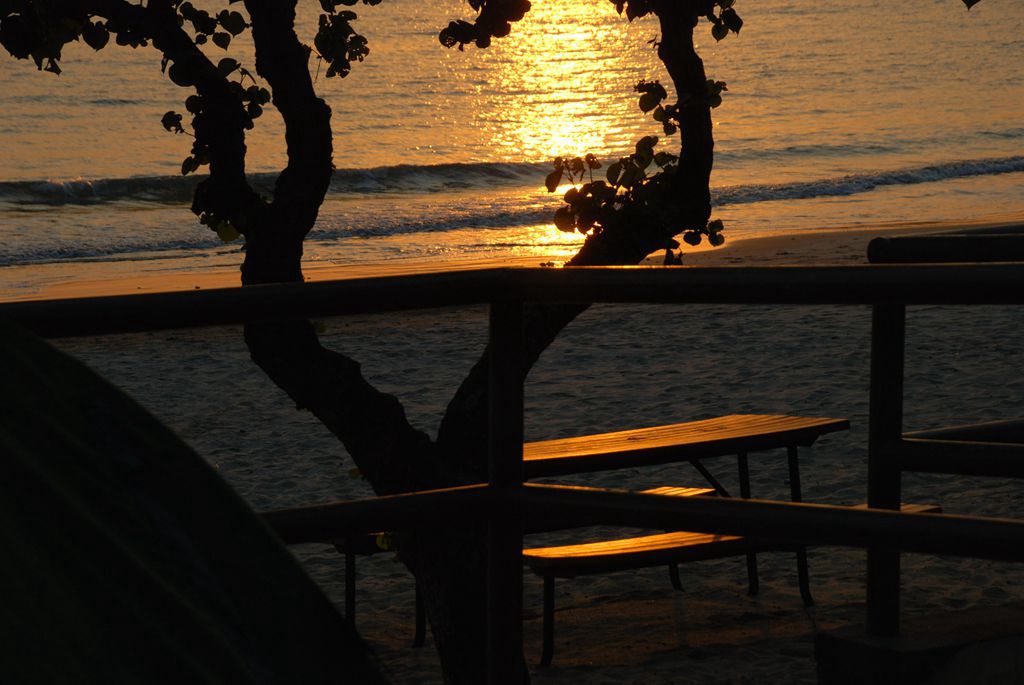 dsc_0215__.jpg