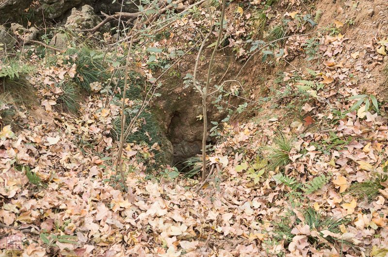 l1002629.jpg