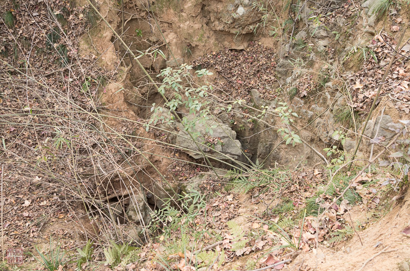 l1002631.jpg