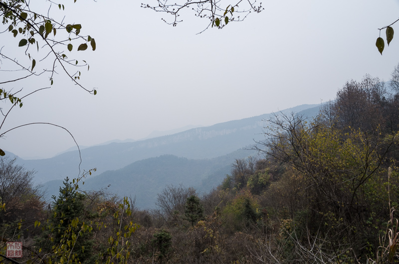 l1002728.jpg