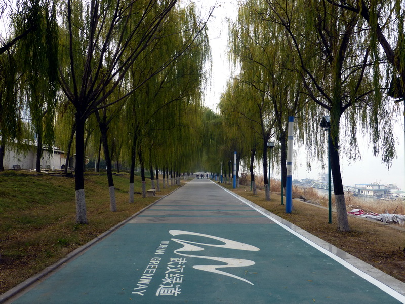 p1150421.jpg
