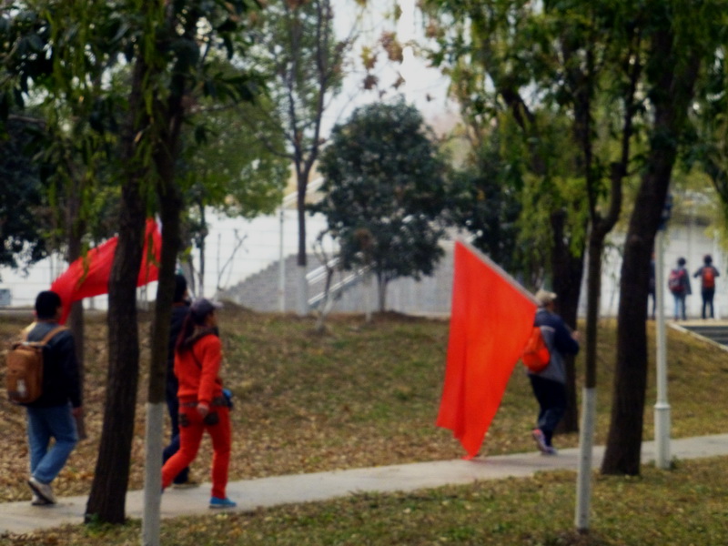 p1150430.jpg